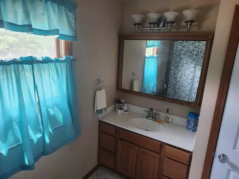 9547 State Rd, Jackson, MI 49201 photo 22
