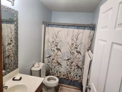 9547 State Rd, Jackson, MI 49201 photo 26