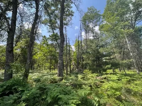 177 E 16th St, Baldwin, MI 49304 photo 26