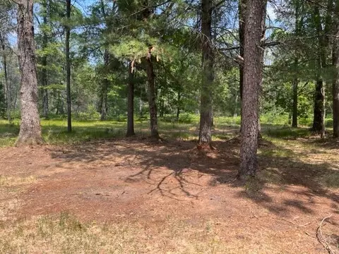 177 E 16th St, Baldwin, MI 49304 photo 25