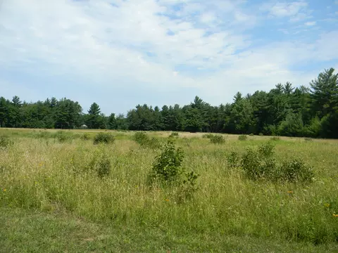 V/l W Hammett Road, Pentwater, MI 49449