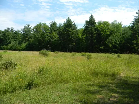 V/l W Hammett Road, Pentwater, MI 49449