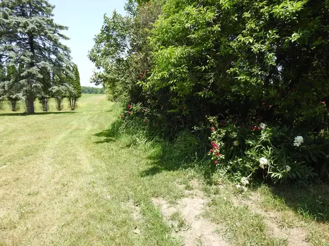 4710 E Hazel Rd, Hart, MI 49420 photo 42