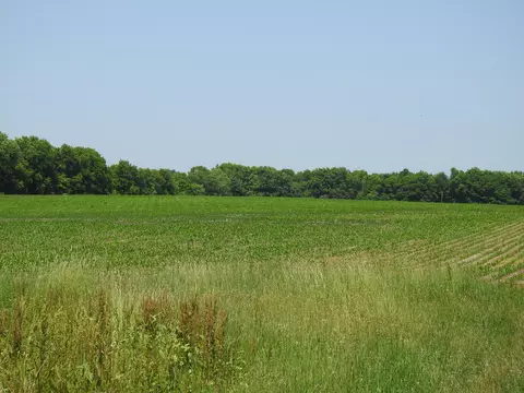 4710 E Hazel Rd, Hart, MI 49420 photo 46
