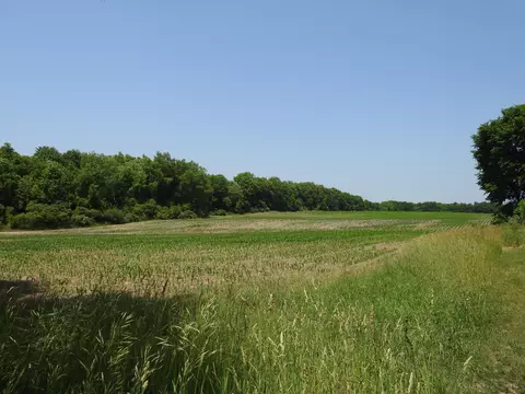 4710 E Hazel Rd, Hart, MI 49420 photo 39