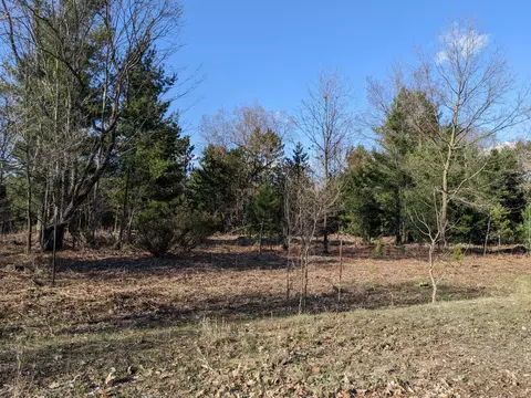 Jussi Street, Kaleva, MI 49645