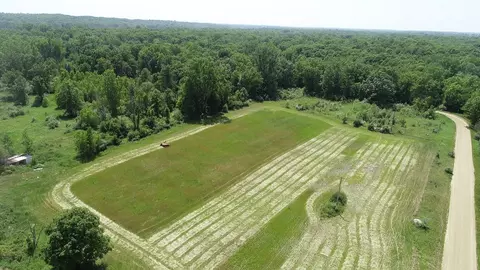 2347 W Maple Rd, Perrinton, MI 48871 photo 58