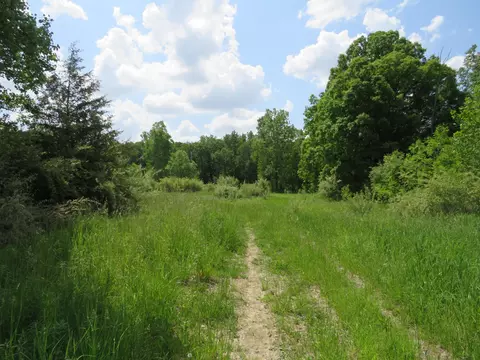 2347 W Maple Rd, Perrinton, MI 48871 photo 34