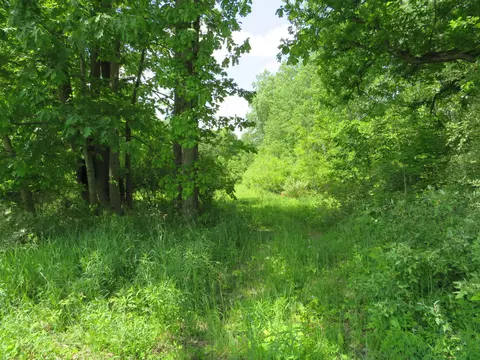 2347 W Maple Rd, Perrinton, MI 48871 photo 36