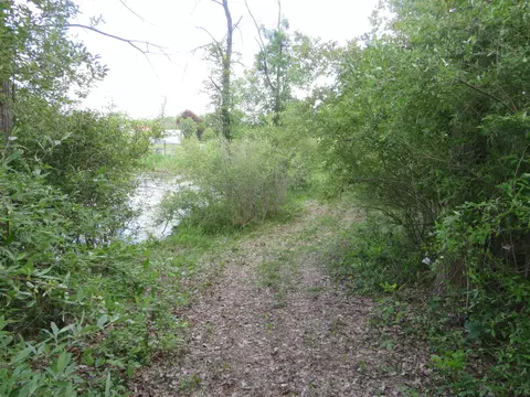 2347 W Maple Rd, Perrinton, MI 48871 photo 53