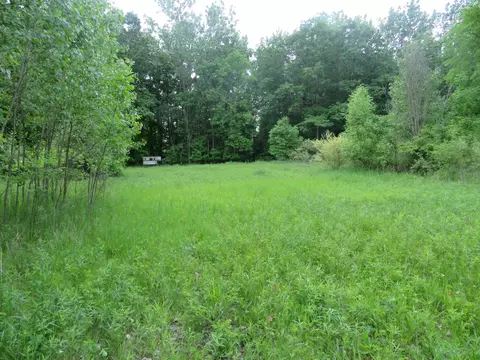 2347 W Maple Rd, Perrinton, MI 48871 photo 50