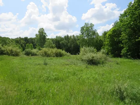 2347 W Maple Rd, Perrinton, MI 48871 photo 35