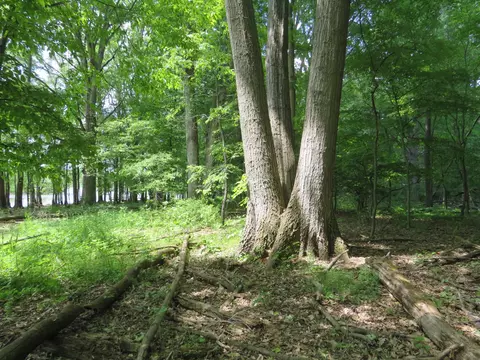 2347 W Maple Rd, Perrinton, MI 48871 photo 46