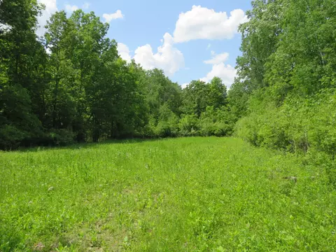 2347 W Maple Rd, Perrinton, MI 48871 photo 37