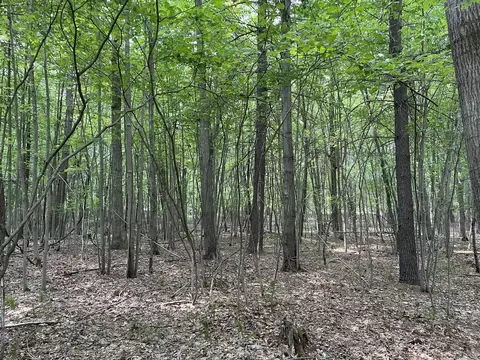 V/l Cayla Lane Lot #31, Whitehall, MI 49461