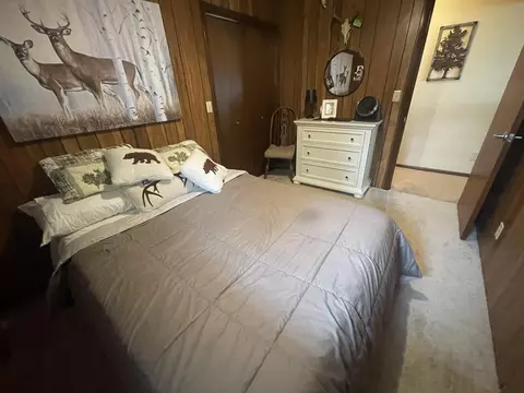 3596 Sunny Dr, Sears, MI 49679 photo 29