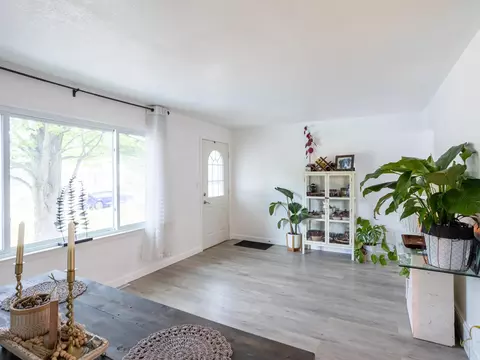 233 E Clark St, Jackson, MI 49203 photo 4