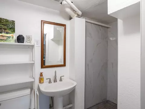 233 E Clark St, Jackson, MI 49203 photo 32