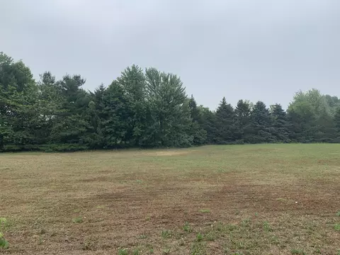 2 Acres 34th St, Gobles, MI 49055