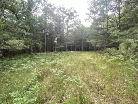V/l M-37, Baldwin, MI 49304 photo 3