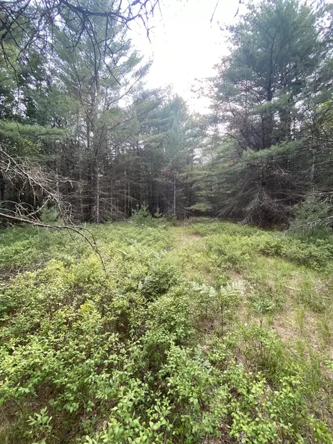 V/l M-37, Baldwin, MI 49304 photo 12