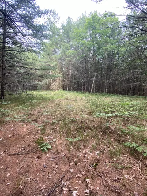V/l M-37, Baldwin, MI 49304 photo 9