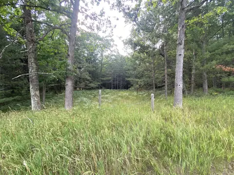 V/l M-37, Baldwin, MI 49304 photo 14