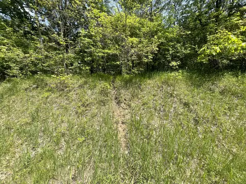 V/l 20a 40th Street, Paw Paw, MI 49079