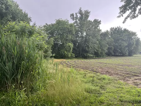 Rose City Road, New Buffalo, MI 49117