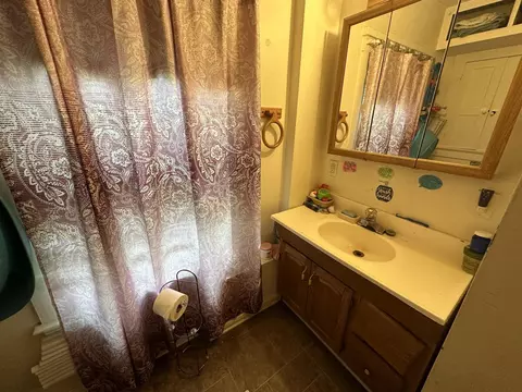1017 2nd Ct, Jackson, MI 49203 photo 8