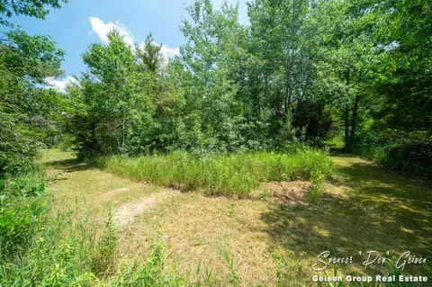 9643 Coyote Trl, Belding, MI 48809 photo 70