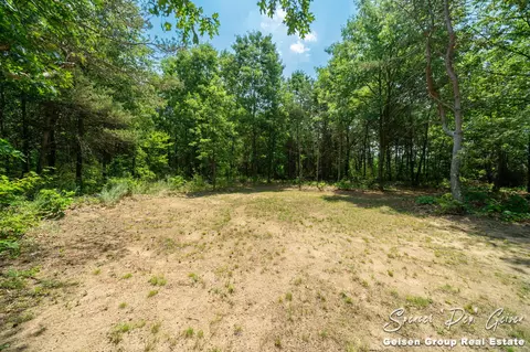 9643 Coyote Trl, Belding, MI 48809 photo 78