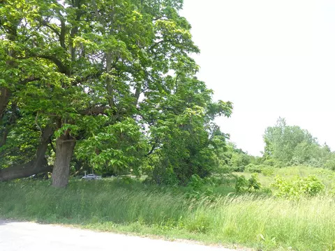 Parcel D Highland, Benton Harbor, MI 49022