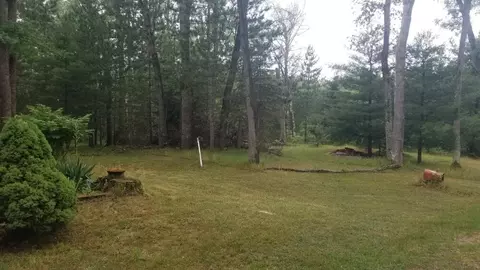 862 S Peacock Trl, Baldwin, MI 49304 photo 9