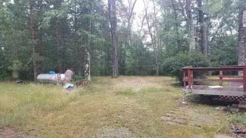 862 S Peacock Trl, Baldwin, MI 49304 photo 8
