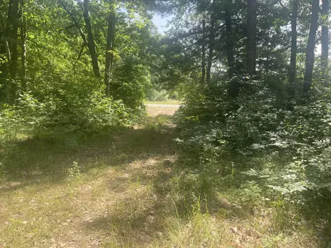 V/l Dilling Rd, Brethren, MI 49619