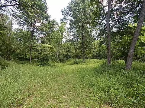 6111 Clise Rd, Bath, MI 48808 photo 52