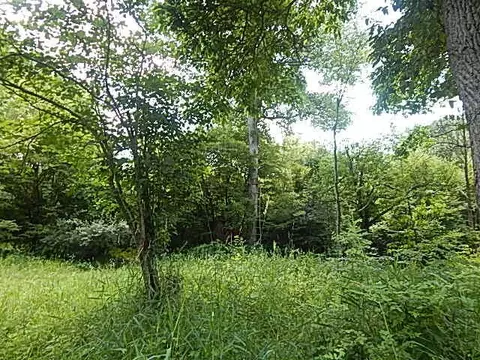 6111 Clise Rd, Bath, MI 48808 photo 54