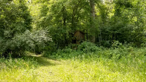 6111 Clise Rd, Bath, MI 48808 photo 46