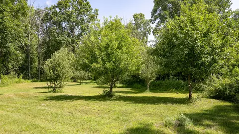 6111 Clise Rd, Bath, MI 48808 photo 42