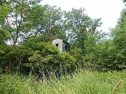 6111 Clise Rd, Bath, MI 48808 photo 57