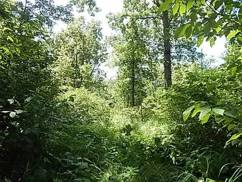 6111 Clise Rd, Bath, MI 48808 photo 60