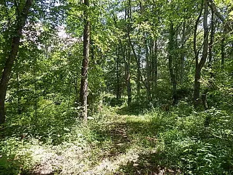 6111 Clise Rd, Bath, MI 48808 photo 64