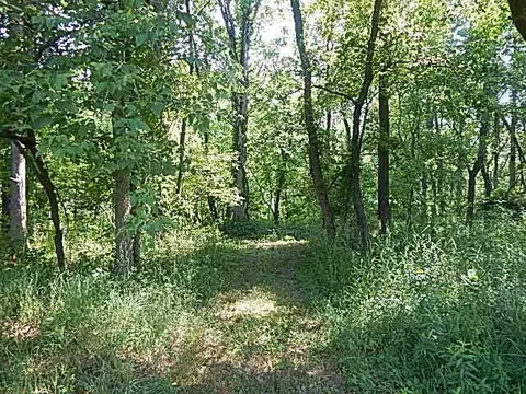 6111 Clise Rd, Bath, MI 48808 photo 75