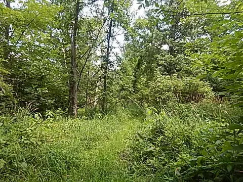 6111 Clise Rd, Bath, MI 48808 photo 55