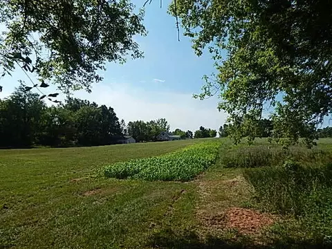 6111 Clise Rd, Bath, MI 48808 photo 68