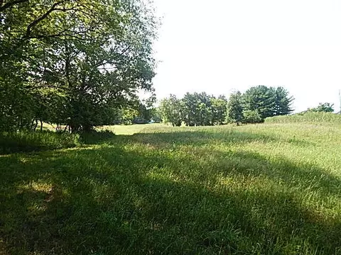 6111 Clise Rd, Bath, MI 48808 photo 74