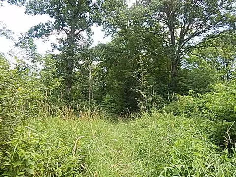 6111 Clise Rd, Bath, MI 48808 photo 56