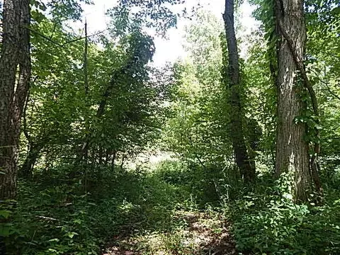 6111 Clise Rd, Bath, MI 48808 photo 65