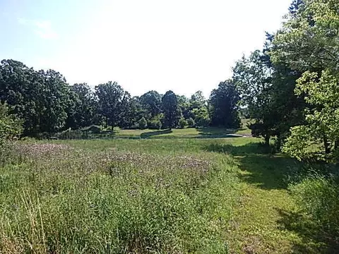 6111 Clise Rd, Bath, MI 48808 photo 72
